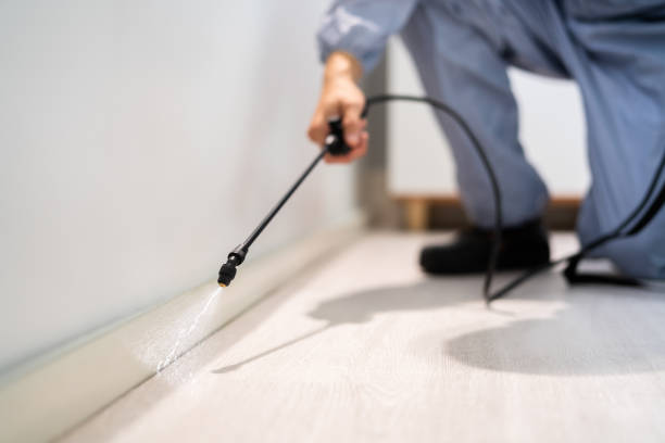 Bed Bug Pre-Treatment Preparation Assessment in Rapid Valley