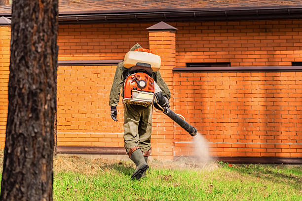 Bed Bug Clearance Verification and Documentation in Rapid Valley